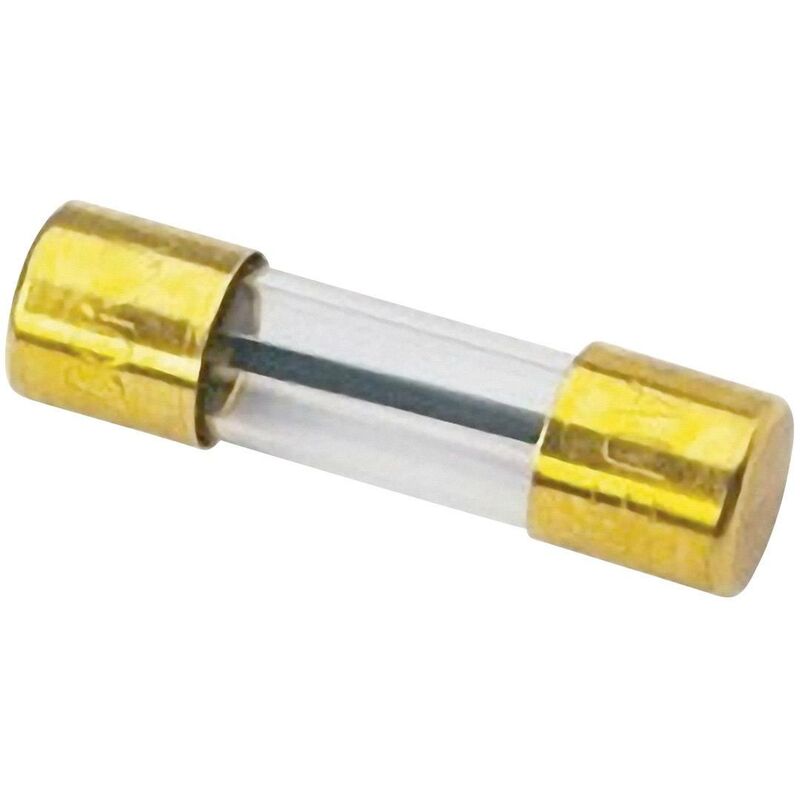 Fusible verre HiFi auto 100 A Sinuslive SG-100-1 1 pc(s) Y46049