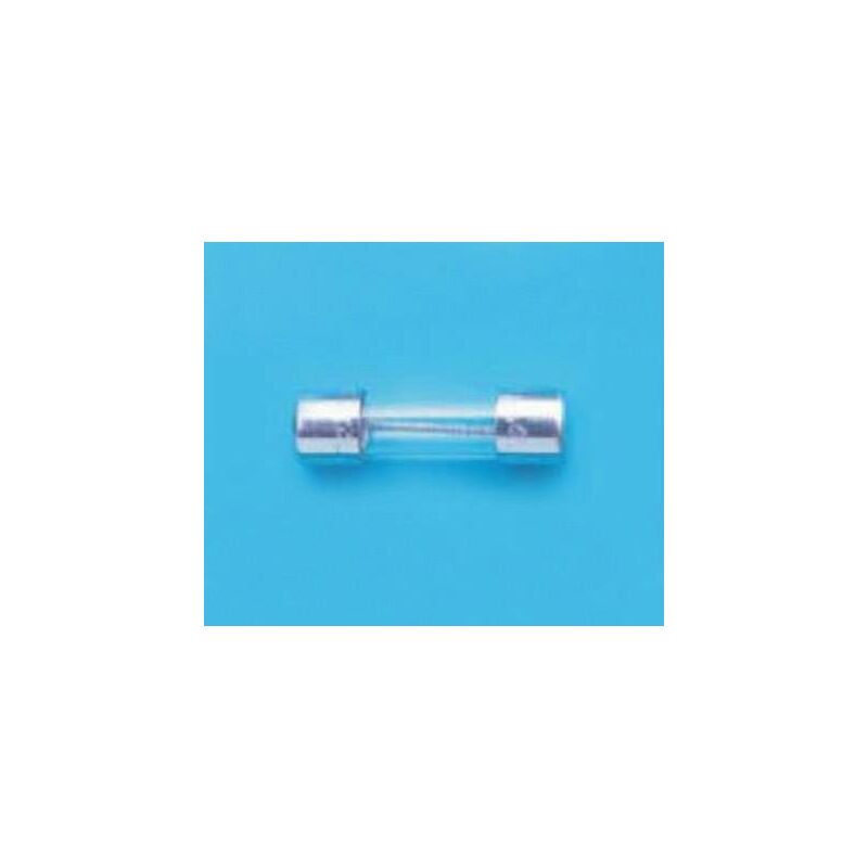 50 Fusibili In Vetro 5x20 Mm T800mA 0.8A 250V – Ritardati (soffio Lento) – Lotto Da 50 Pezzi