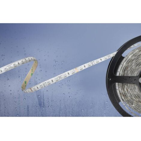 Ruban LED Barthelme 51540831 avec câble à extrémités ouvertes 24 V 5 m N/A 1 pc(s) R806331 (1/2)