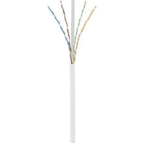 Câble Réseau Renkforce CAT 6a F/UTP – 1 M – Blanc – RJ45