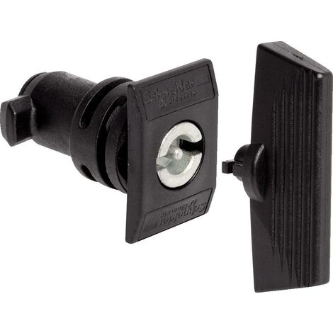 Schneider Electric – Verrouillage Thalassa PLM NSYCDBPLM – Insert double barre 3mm – Montage direct sur porte – Pour armoires électriques - C477761