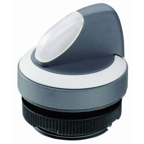 RAFI 1.30.272.102/2200 RAFIX 22 FS+ 1.30.272.102/2200 Bouton sélecteur noir 1 x 90 ° 1 pc(s) Y01118 (1/2)
