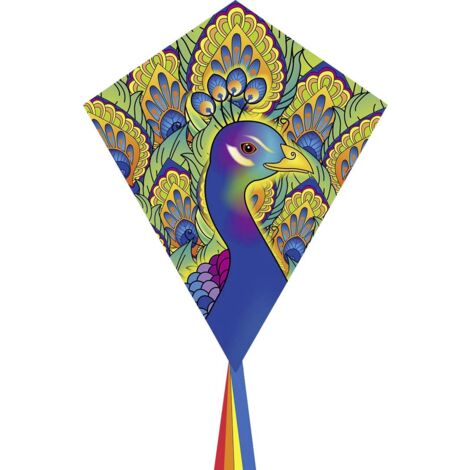 Ecoline Cerf-volant Eddy Peacock Envergure (détails) 580 mm Force du vent supportée 2 - 5 bft (1/4)