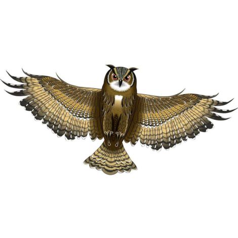 Günther Flugspiele 1 ligne Cerf-volant Hibou Envergure (détails) 1220 mm Force du vent supportée 3 - 6 bft S186301 (1/3)