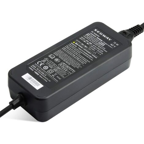 Segway Ninebot Chargeur pour batterie de scooter électrique R681962 (1/3)