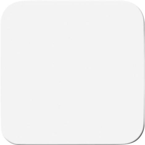 BUSCH-JAEGER 1725-0-1491 PLAQUE DE COMMUTATION ET OBTURATEUR