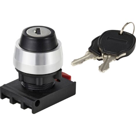 TRU COMPONENTS TC-12835264 ONPOW26BK-Y/21 Elément frontal pour commutateur à clé levier noir 2 x 90 ° 1 pc(s) A766983 (1/2)