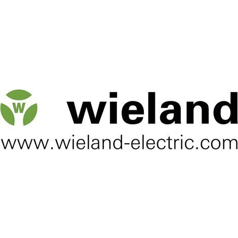 Couvercle de boîtier PG21 Wieland 70.350.1628.0 BAS 1 pc(s) D11936 (1/2)