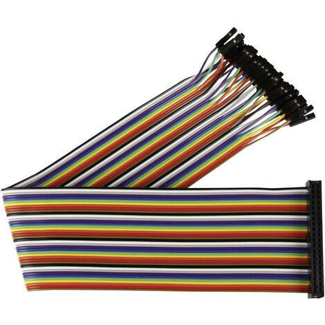 Joy-it RB-CB2-030 Câble de cavalier Raspberry Pi [40x Pontage filaire de prise femelle - 40x Pontage filaire de prise femelle] 30.00 cm multicolore a Q659051 (1/5)