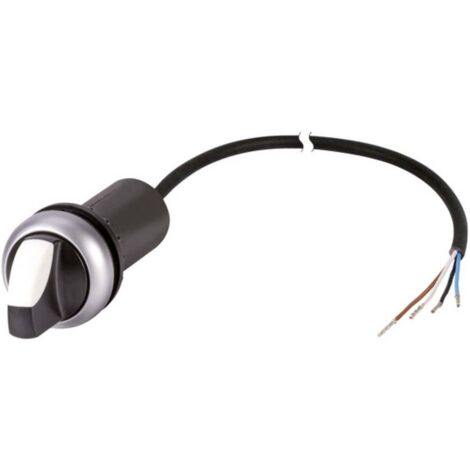 Bouton sélecteur Eaton C22-WRK-K10-P62 186167 levier noir, blanc 1 x 60 ° décrochage par rotation 1 pc(s) (1/2)