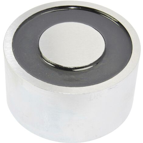 RED MAGNETICS Electroaimant aimanté (état hors tension) 1900 N 24 V/DC 45 W ITS-PE-8245-24VDC X751801 (1/2)