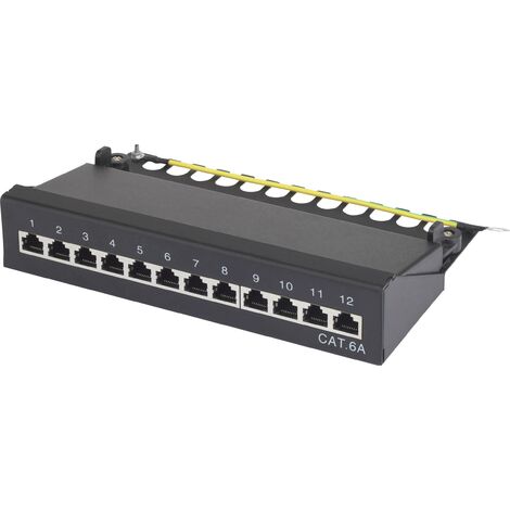 Boîtier de brassage 12 ports CAT 6A 1 UH – Acier robuste – Débit jusqu'à 10 Gbit/s – Montage mural – Compatible AWG 22-24 – Renkforce - CAT 6 A
