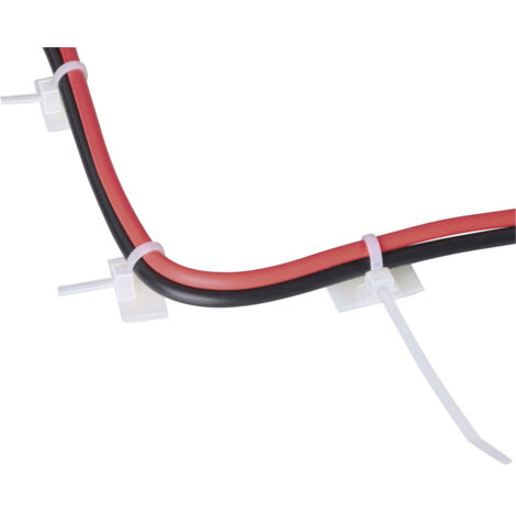 Lanière 100×2.5mm nat. -T18RSA