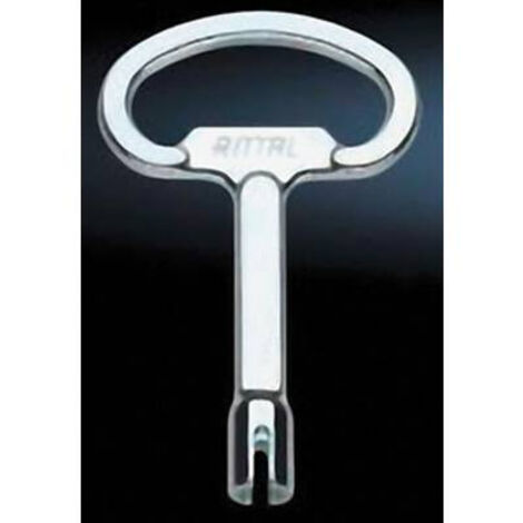 CLÉ POUR ARMOIRES DE DISTRIBUTION DAIMLER RITTAL 2521.000 ACIER 1 PC(S) (1/2)