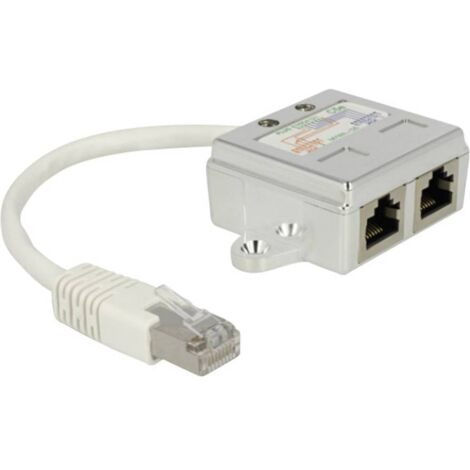 Delock RJ45 réseau informatique Adaptateur CAT 5 [1x RJ45 mâle - 2x RJ45 femelle] 15.00 cm blanc Y522481