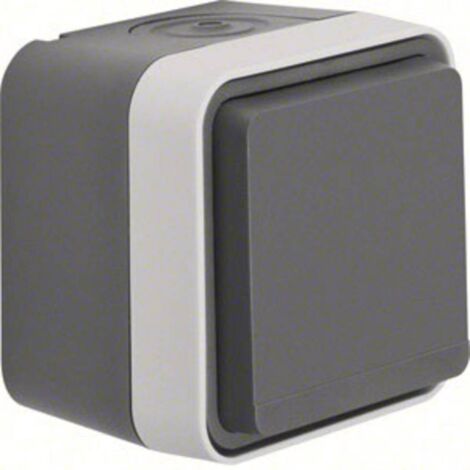 Prise 2P+T avec clapet Berker 47403515 W.1 apparent gris, gris clair (1/3)