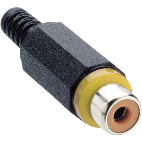 Cinch/RCA femelle, droit Lumberg XKTO 1-YE Nombre de pôles: 2 jaune 1 pc(s) D26444 (1/3)