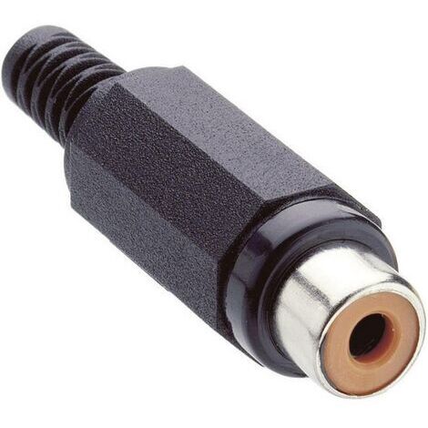 Cinch/RCA femelle, droit Lumberg XKTO 1-BK Nombre de pôles: 2 noir 1 pc(s) D26672 (1/3)
