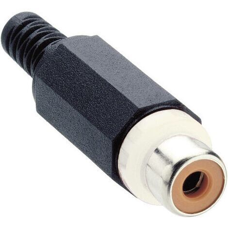 Cinch/RCA femelle, droit Lumberg XKTO 1-WH Nombre de pôles: 2 blanc 1 pc(s) D26693 (1/3)