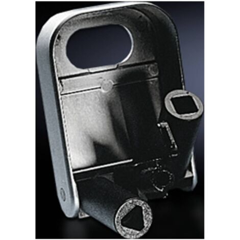 N/A panneton double Rittal 2549.000 acier 1 pc(s) (1/2)