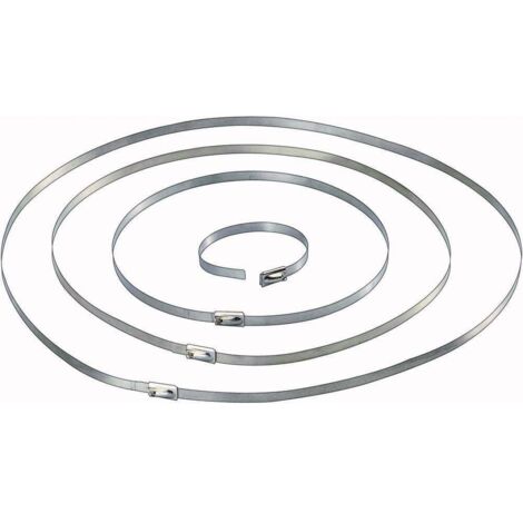 TRU COMPONENTS 1566204 Serre-câble 127 mm 4.60 mm argent 10 pc(s) (1/2)