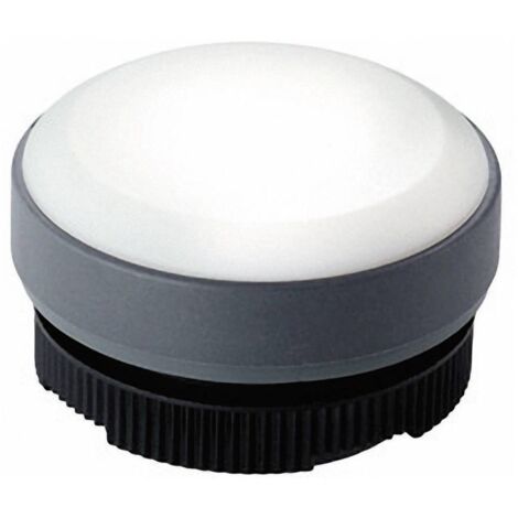 RAFI 22FS+ 1.74.508.001/2200 Indicateur lumineux plat blanc 1 pc(s) Y01116 (1/2)