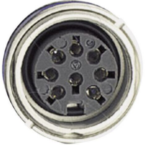 Amphenol C091 31N003 100 2 Cosse cylindrique mâle embase femelle Nombre total de pôles: 3 Série (connecteur rond): C091 1 pc(s) D15593 (1/4)