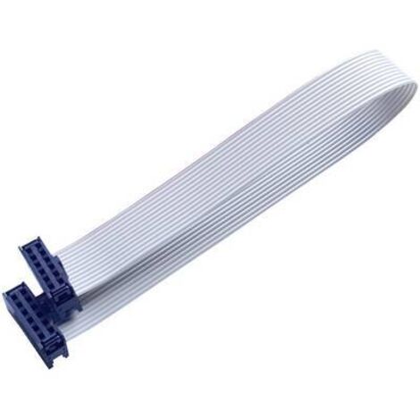 BKL Electronic 10120669 Câble en nappe Pas: 2.54 mm 12 x 0.08 mm² gris 1 pc(s) Q724682 (1/2)