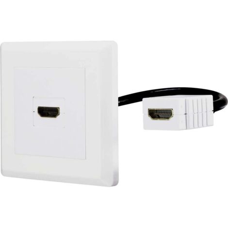 Adaptateur HDMI 15 cm RF4538136 – 1x HDMI femelle vers 1x HDMI femelle – Résolution 3840 x 2160 pixels @ 30 Hz – Câble ABS blanc – Renkforce - A807862