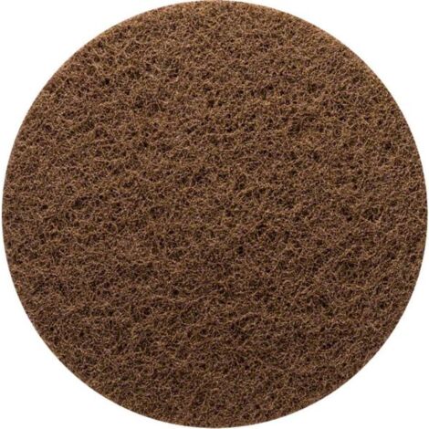 Bosch Accessories 2608901241 Disque non tissé EXPERT N880 pour ponceuse excentrique 125 mm grossier A. 1 pc(s) Y687942