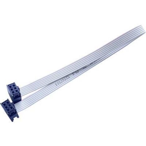 BKL Electronic 10120666 Câble en nappe Pas: 2.54 mm 6 x 0.08 mm² gris 1 pc(s) Q724602 (1/2)