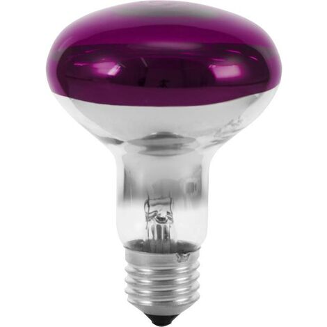 Ampoule halogène E27 60 W violet – Réflecteur 80° – 230 V – 110 mm de long – Éclairage à effets décoratifs – Omnilux - MM 1 PC