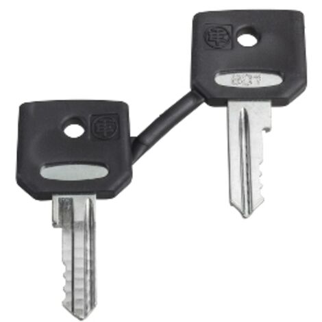 SCHNEIDER ELECTRIC ZBG455 CLÉS DE REMPLACEMENT, LOT N 455
