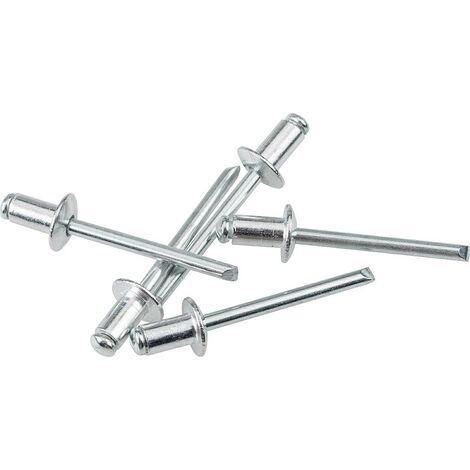 Rivets aveugles - Mini-Pack - alu/acier - 5 x 10 mm - lot de 10