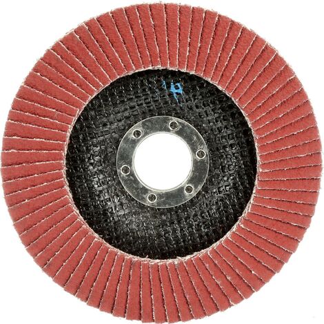 3M 51482 Disque à surfacer à lamelles Diamètre 125 mm Ø de perçage 22 mm 10 pc(s) C899922 (1/4)
