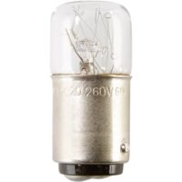 Auer Signalgeräte GL06 Ampoule blanc adapté pour série (technique de signalisation) Colonne de signa