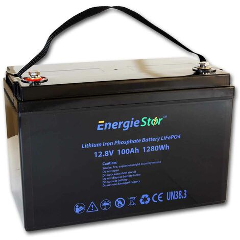 LiFePo4 100Ah Lithium Smart Battery 12.8V