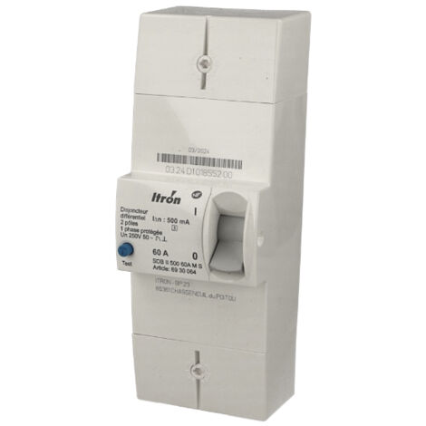 Itron – Disjoncteur unipolaire sélectif 60A – Courbe C – Pour installation monophasée – Protection contre surcharge et court-circuit
