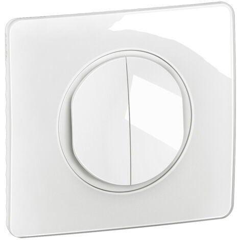 Legrand – Interrupteur va-et-vient double blanc – Connectique rapide – Plaque de finition incluse – Pour installation en intérieur (1/2)