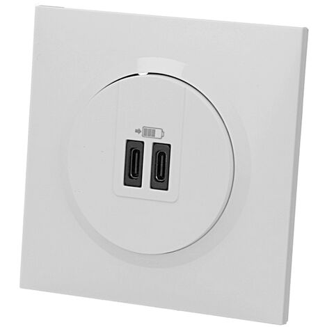Prise double USB type C Legrand Dooxie™ complète (1/2)