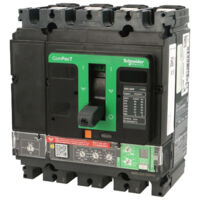Schneider Electric – Disjoncteur bipolaire 250A – Courbe de déclenchement Vigi – Capacité de coupure 36kA – Montage fixe pour environnements industriels