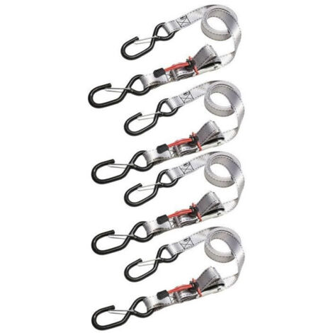 Cinghia Master Lock con fibbia grigia 1,8m x 25mm - 4 pezzi (1/5)