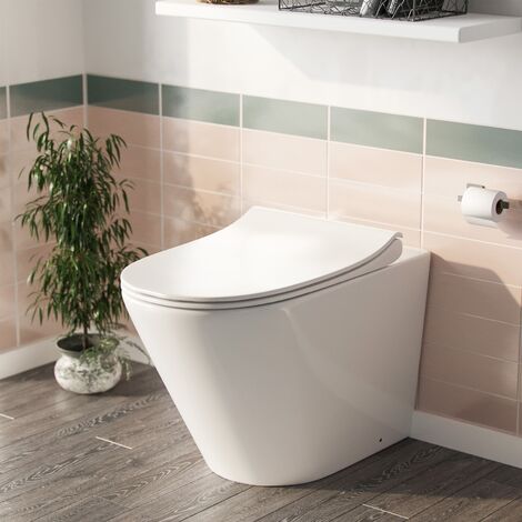 Elliss Round Back to Wall Rimless Toilet Pan + Soft Close Seat (1/5)