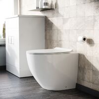 Rimless Round Back To Wall Pan with Soft Close Toilet Seat