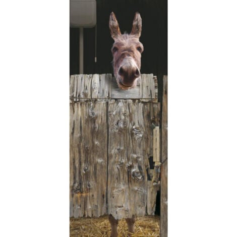 Sticker de porte 83x204cm motif hihan