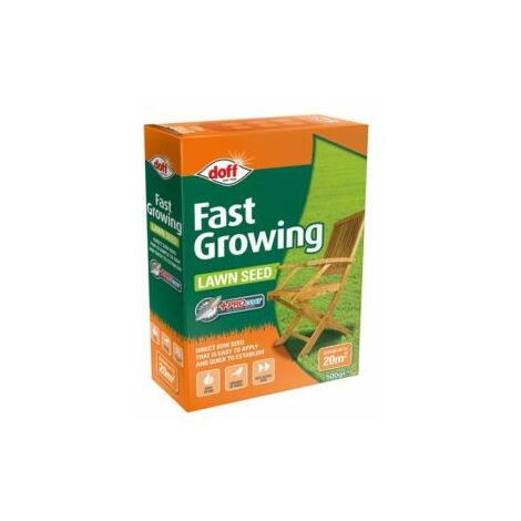 Fast Growing Lawn Seed 500g