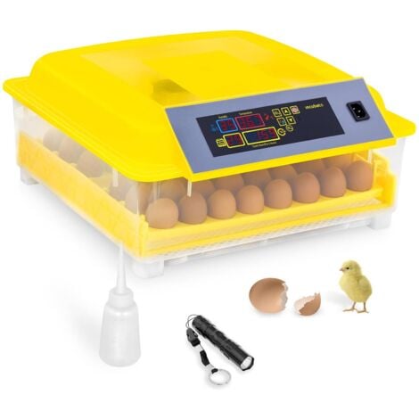 Machine à laver les œufs de caille, bonne qualité, prix d'usine, petit  poulet canard d'oie, nettoyeur d'œufs, offre spéciale - AliExpress