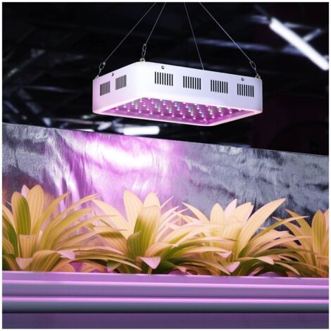 Superplant - Ampoule CFL 300W Dual/Mixte 2100K°+6400K° V2 , lampe croissance  et floraison dual spectrum , E40