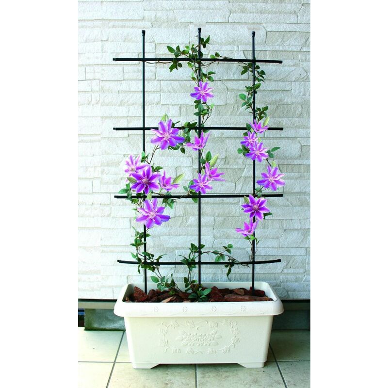 TrendLine Rankgitter 120 cm Spaliere