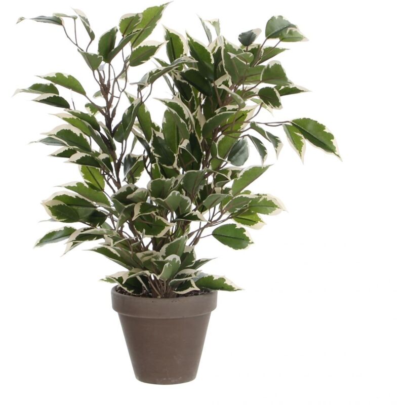 Mica Kunstpflanze Ficus Natasja grün bunt im Topf 40 x 30 cm Kunstpflanzen